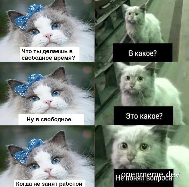 Grumpy cat meme with russian text