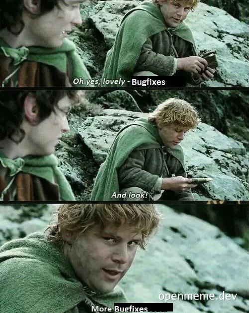 Lord of the Rings character reacts to bugfixes
