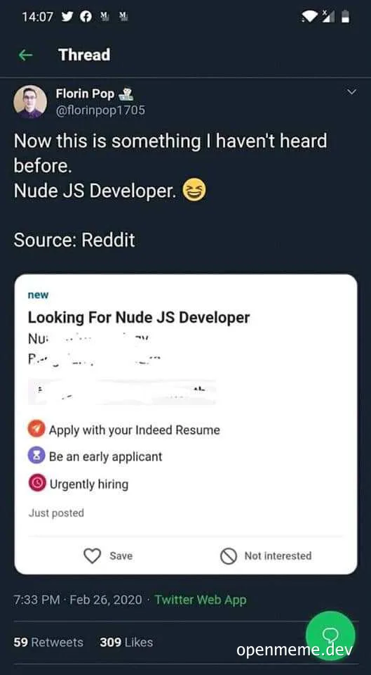 job posting for nude js developer