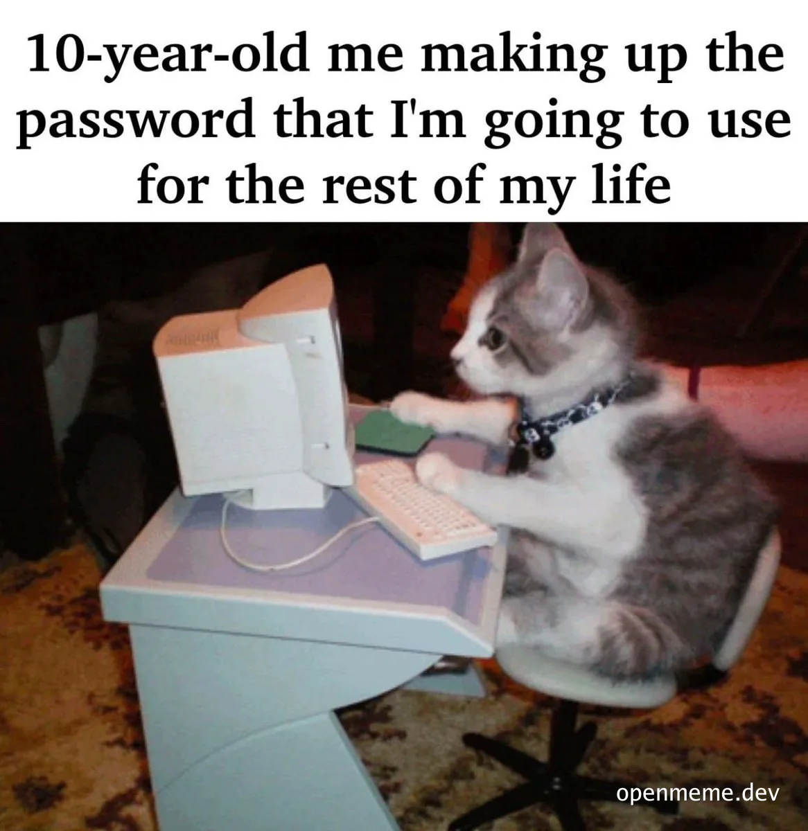 a cat sitting at a computer with a caption about childhood password creation