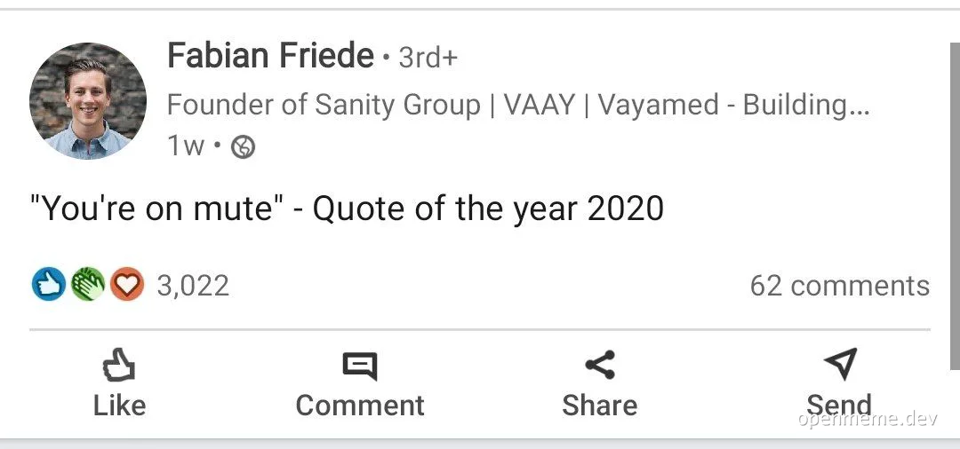 You're on mute quote meme