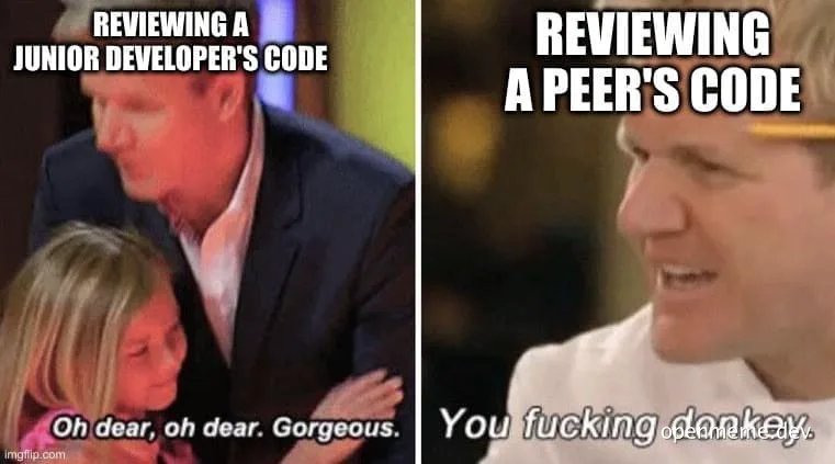 humorous developer code review meme