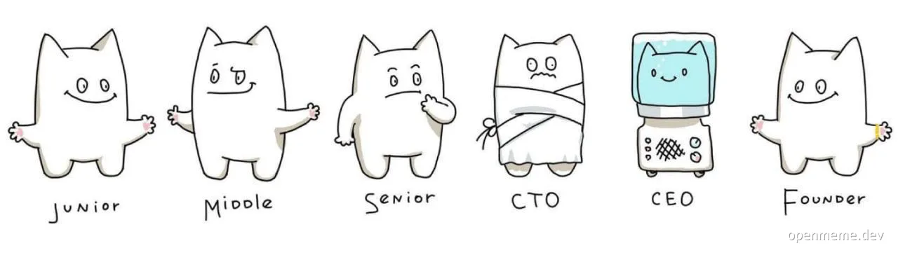 junior middle senior cto ceo founder developer roles cartoon