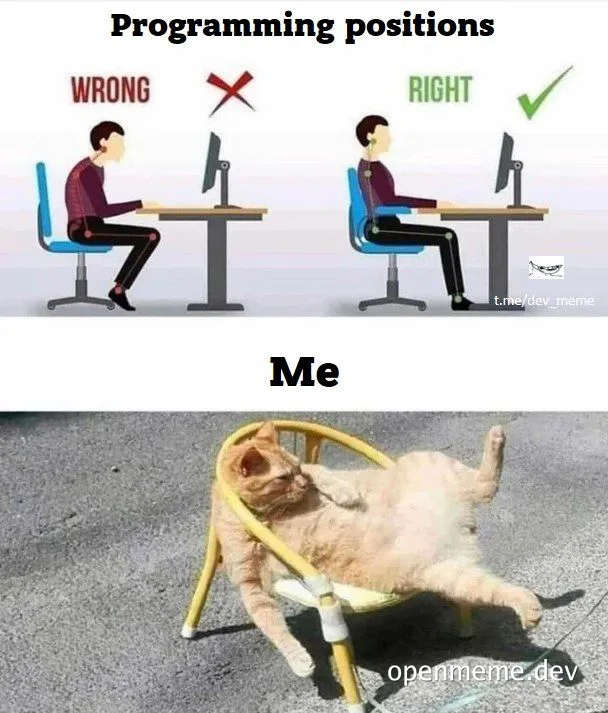 cat slouching in chair with correct and incorrect human coding positions