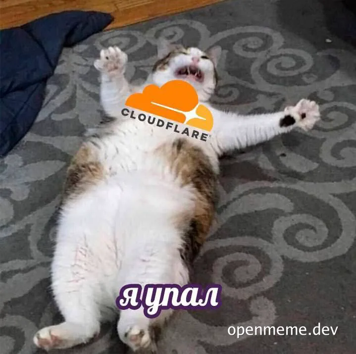 cat lying on back with cloudflare logo