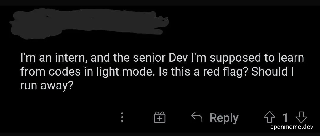 Intern questions senior dev coding habits