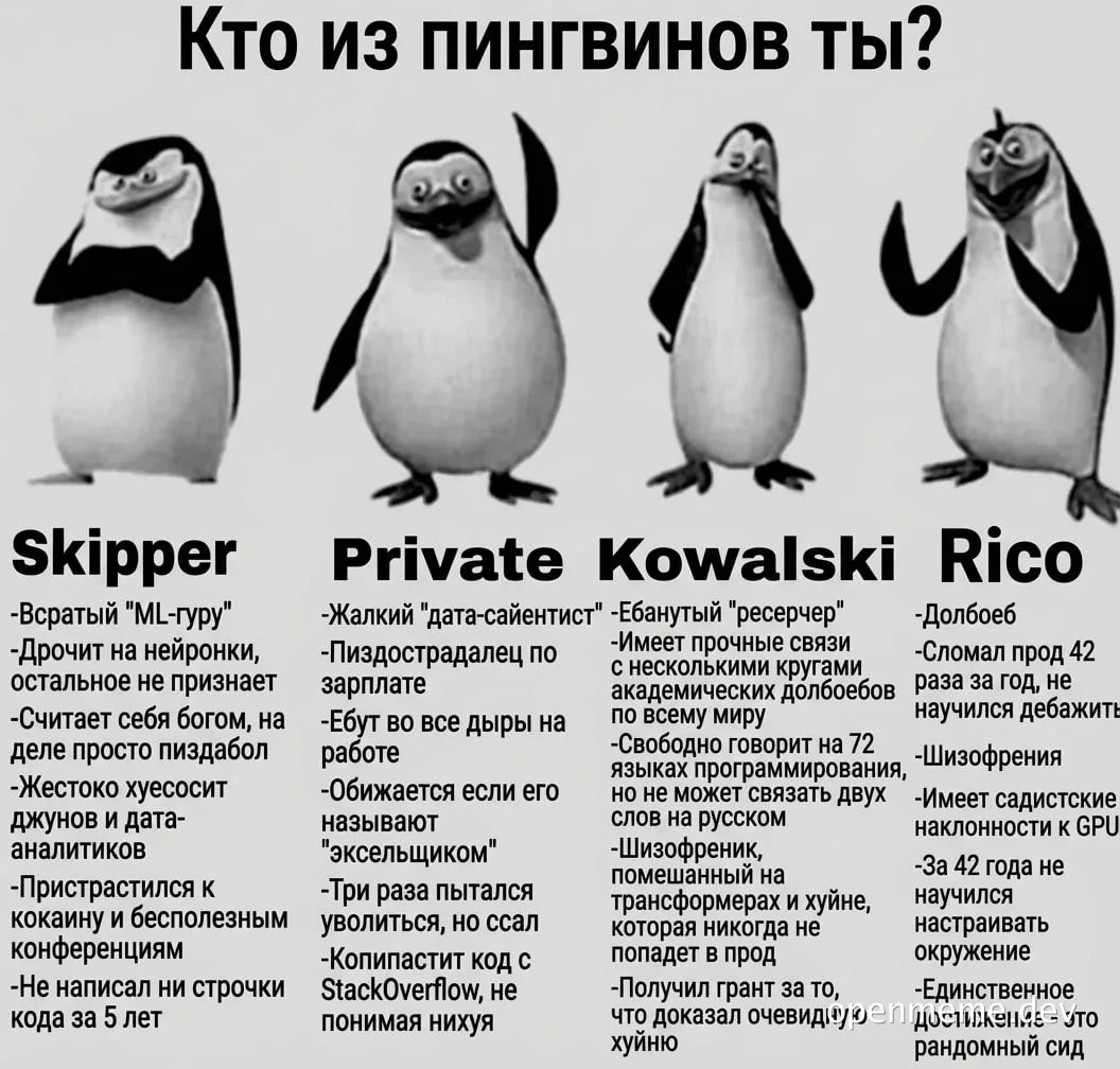 Кто из пингвинов ты? - Penguins meme