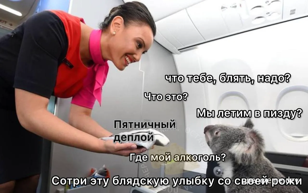 a meme of a flight attendant and a koala on an airplane with russian text overlay