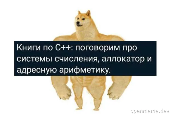 Doge image with muscular arms and a serious expression, overlaid with a text box about C++ books