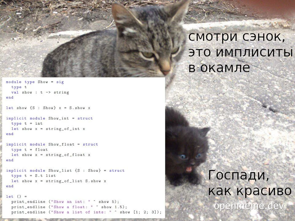 Two cats and code snippet about type Show in OCaml