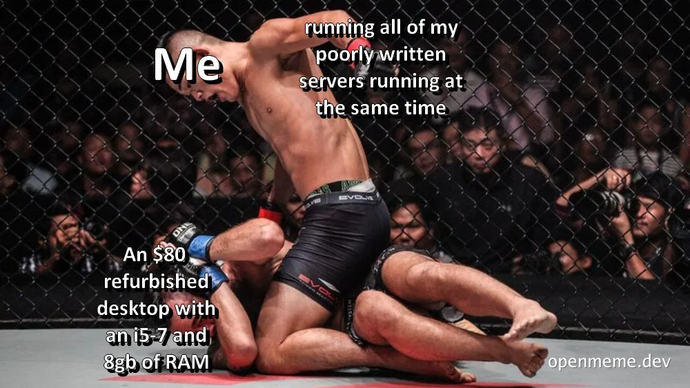 MMA fighter dominating an opponent, symbolizing a low-end computer handling demanding server tasks