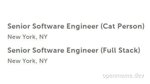 humorous job listing for senior software engineer with cat person and full stack titles