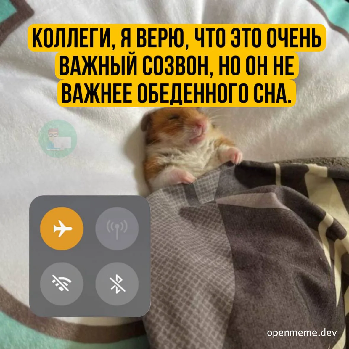 hamster sleeping on pillow with phone on airplane mode