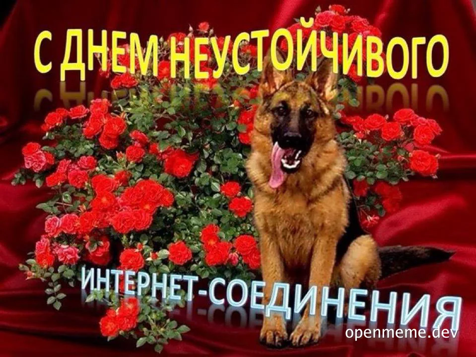 German Shepherd dog sitting in front of red roses with Russian text overlay