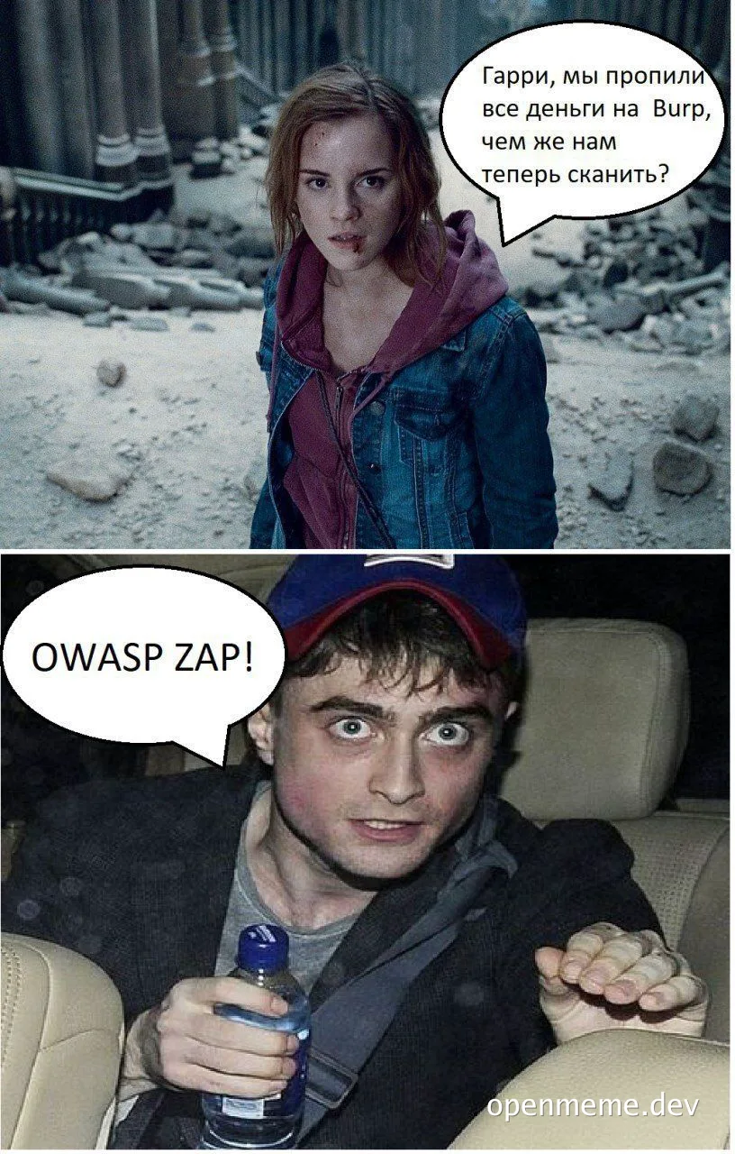 Harry, we spent all the money on Burp, what are we going to scan now? OWASP ZAP!