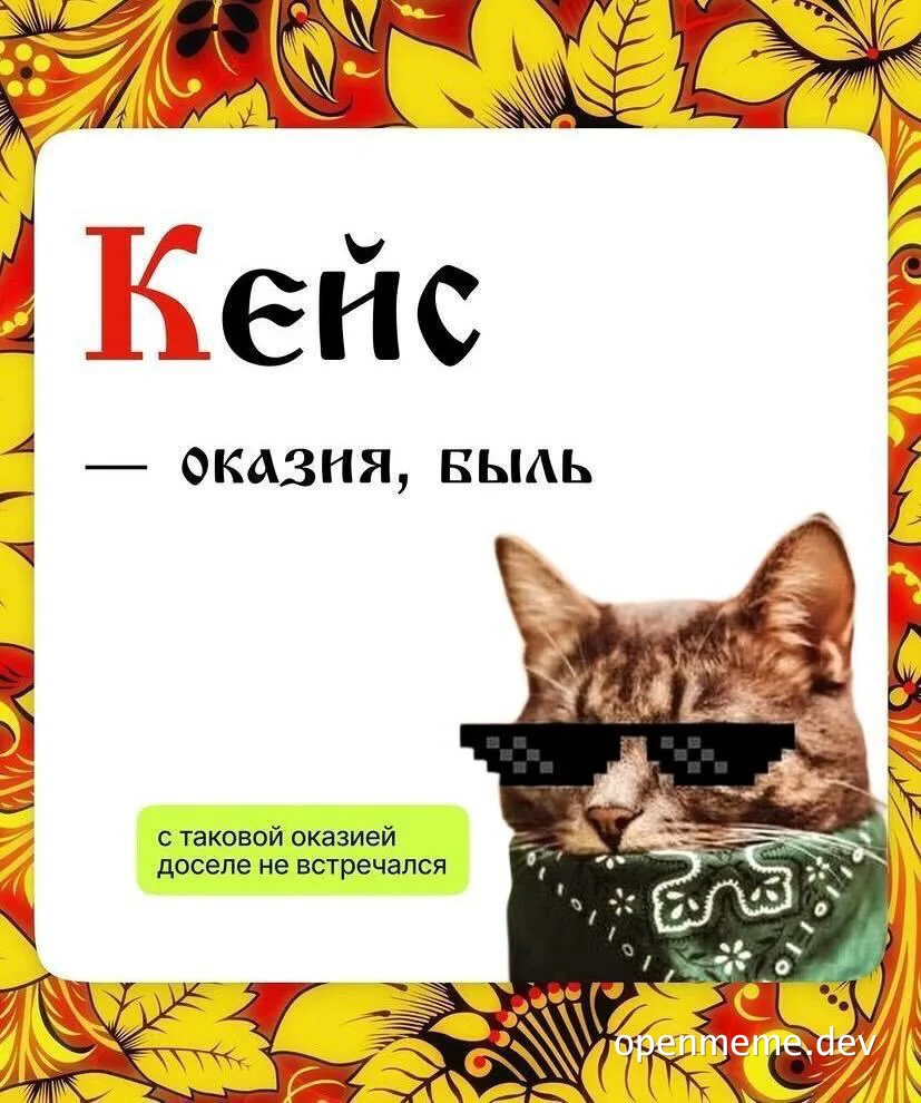 cat with sunglasses and bandana