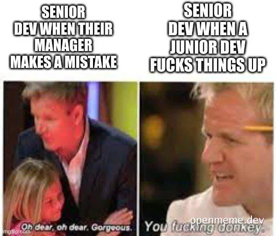 senior dev reaction to manager mistake vs junior dev mistake