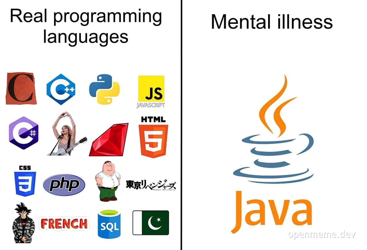 Real programming languages vs Mental illness joke with Java