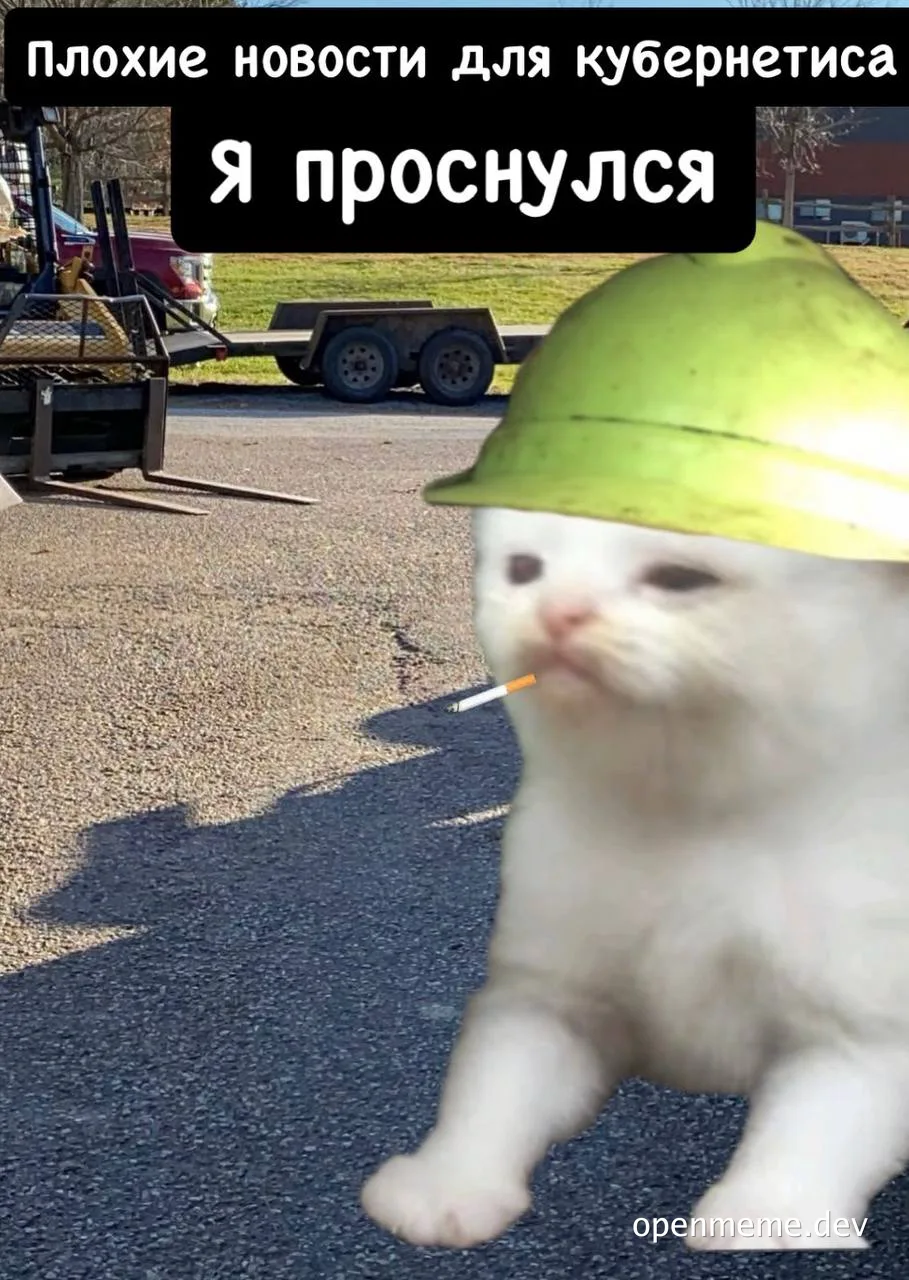 cat in hard hat and cigarette