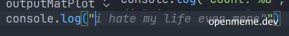 Console log error message with a programmer's frustrated outburst