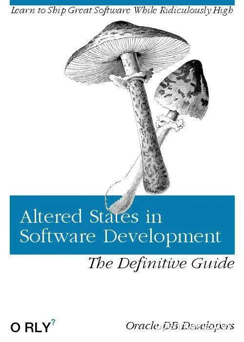 Altered States in Software Development meme