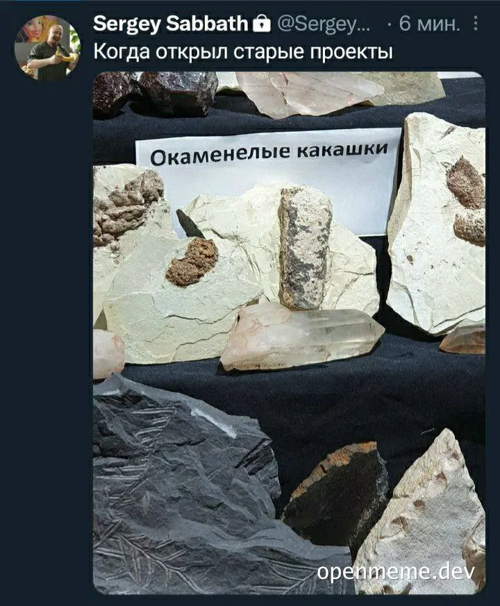 Fossilized poop rocks on display with a sign that reads 'Fossilized poop'