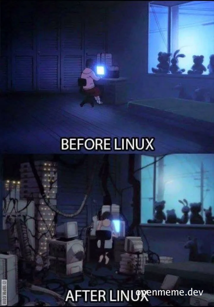 before and after linux meme