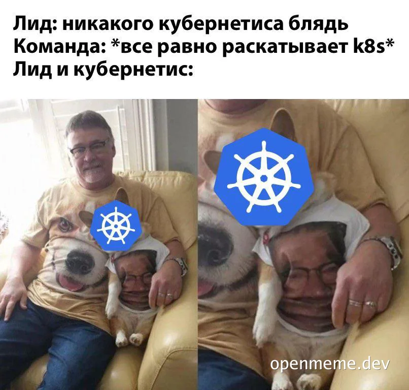Kubernetes logo on a shirt with a man and dog
