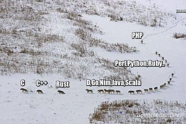 a snowy hill with a pack of dogs labeled with programming languages
