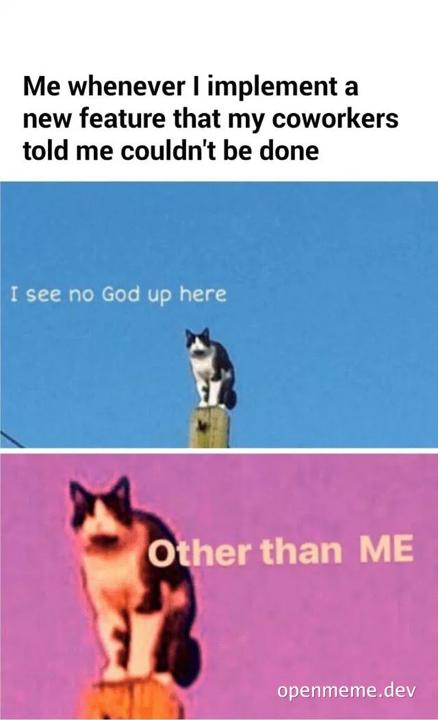cat on a pole with 'I see no God up here' and 'Other than ME' text