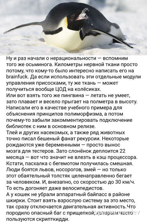 penguin running with octopus and brainfuck code