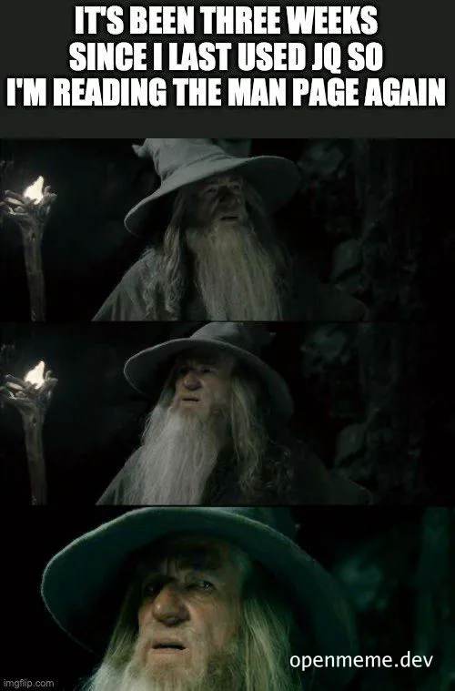 Gandalf looking confused, with text 'IT'S BEEN THREE WEEKS SINCE I LAST USED JQ SO I'M READING THE MAN PAGE AGAIN'