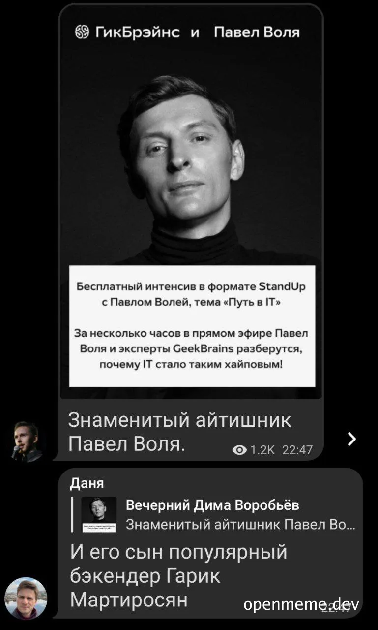 Pavel Vola IT career meme
