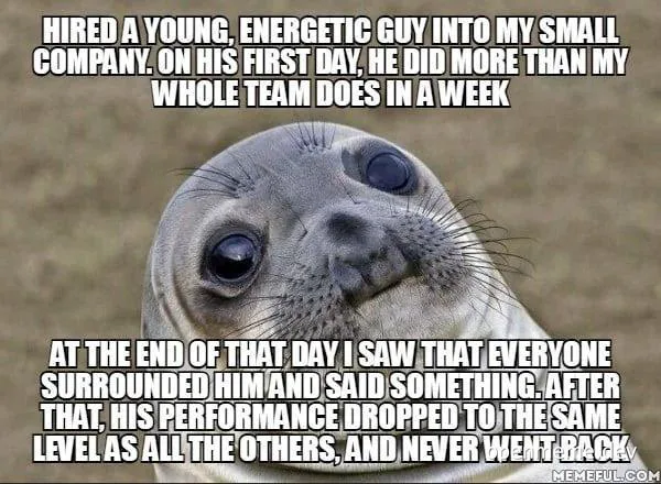 surprised seal meme about new employee performance
