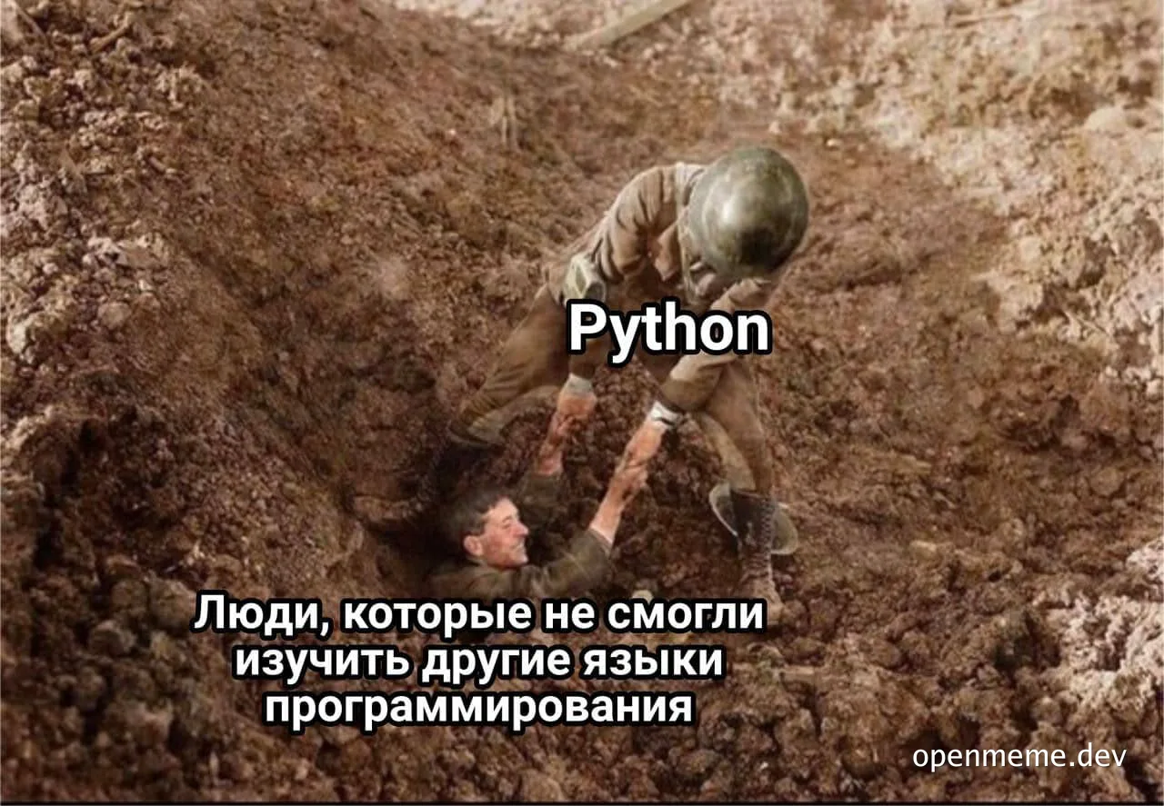 Man digging a hole with another man buried, labeled 'Python' and 'People who could not learn other programming languages'