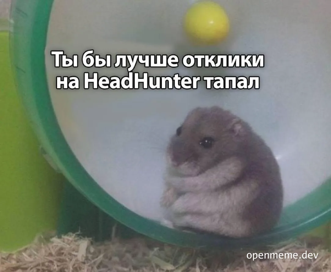 hamster in wheel with russian text about headhunter