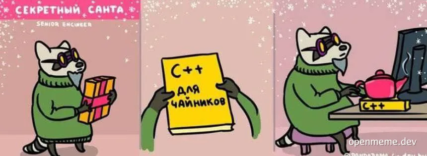 Raccoon in a green sweater receives a C++ book as a gift