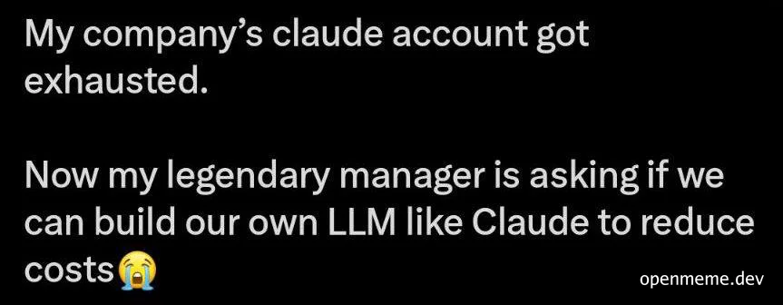 a text meme about a company trying to build their own LLM
