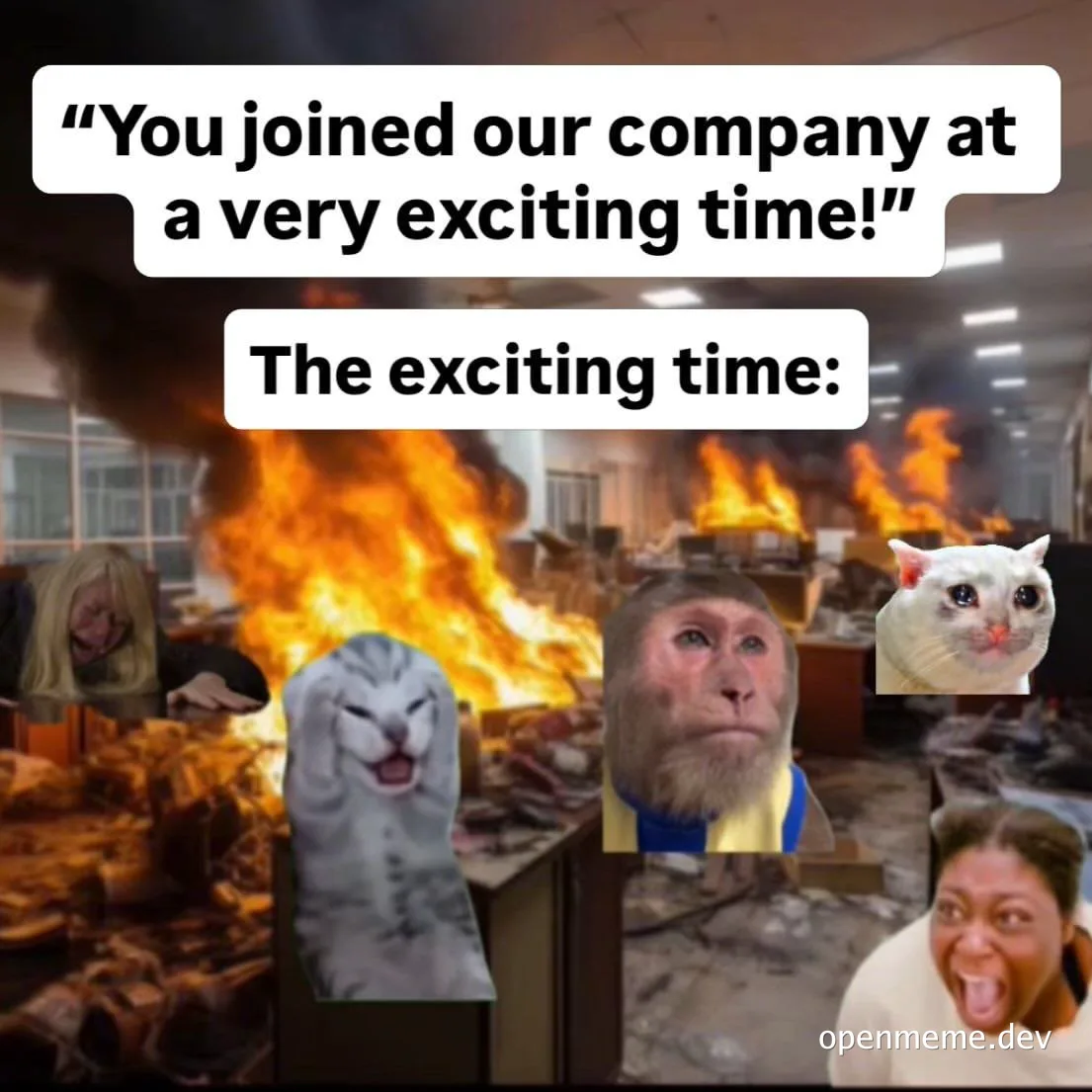 Office burning with fire and smoke while reaction faces (crying woman, laughing cat, shocked monkey, surprised cat,