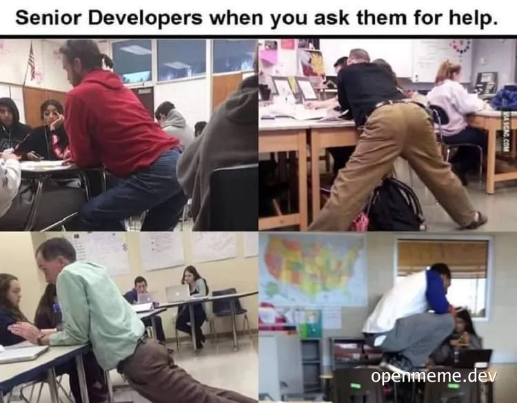 senior developers reaction when asked for help