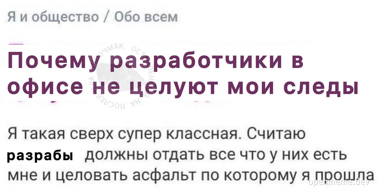 russian office meme about developers