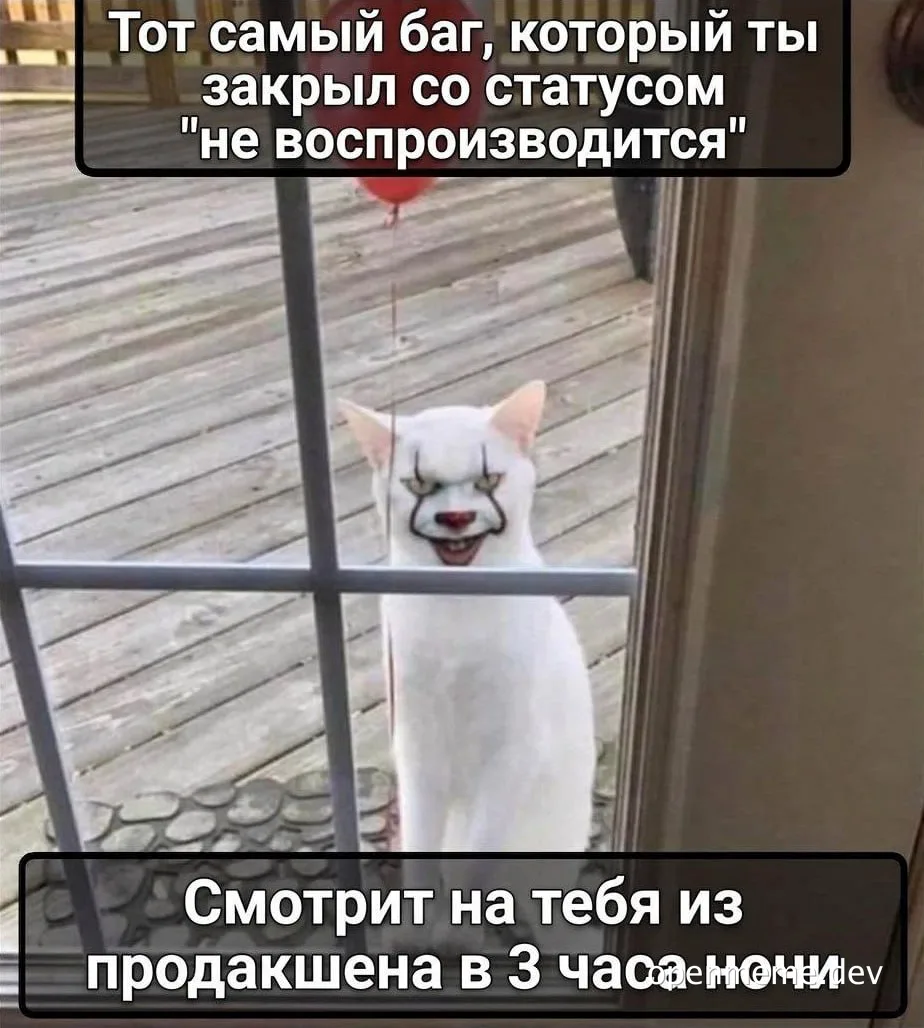 angry cat meme with russian caption about software bug