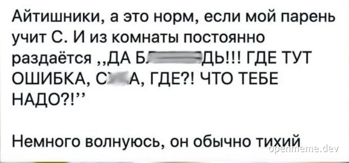 russian text about developer life