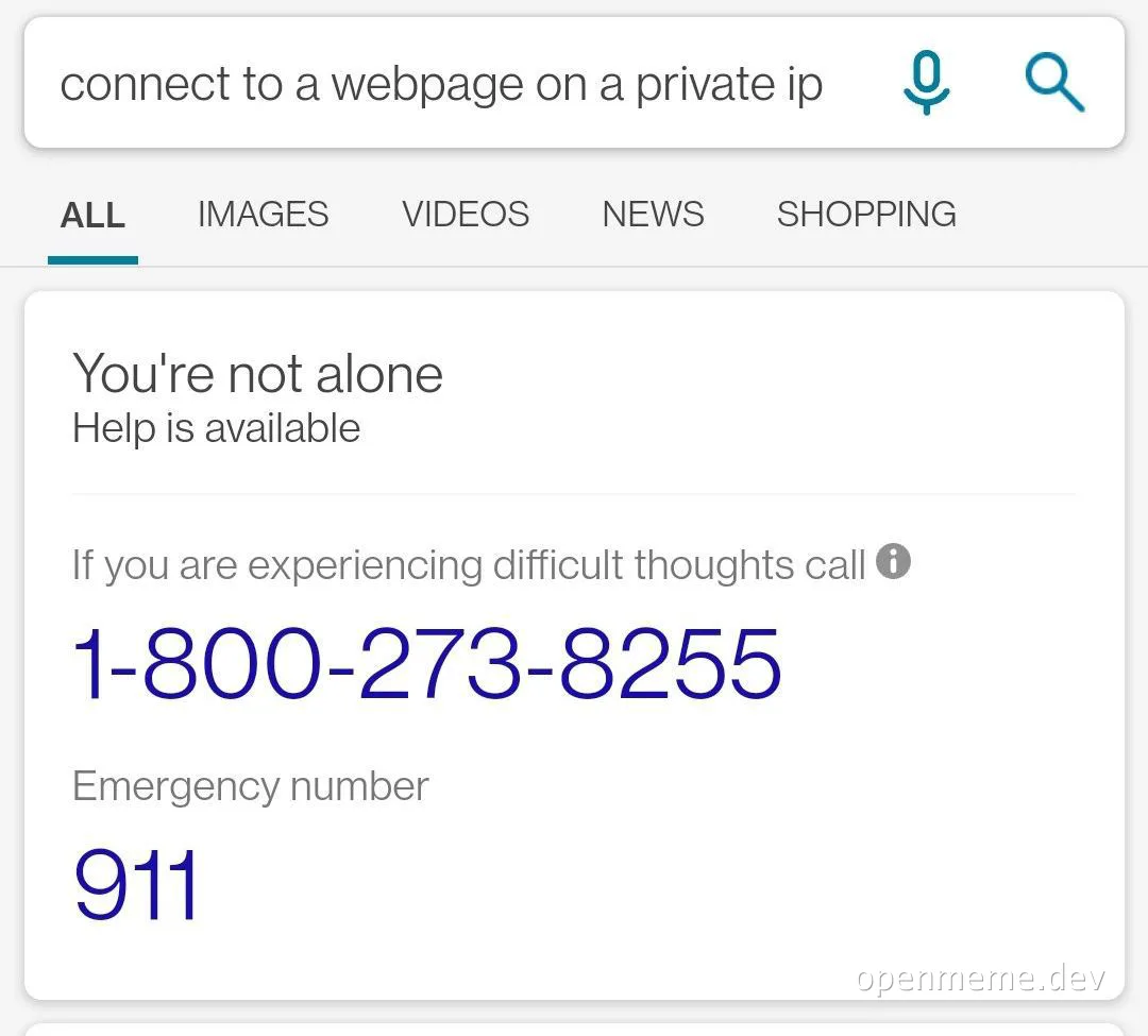 You're not alone meme with a browser screenshot