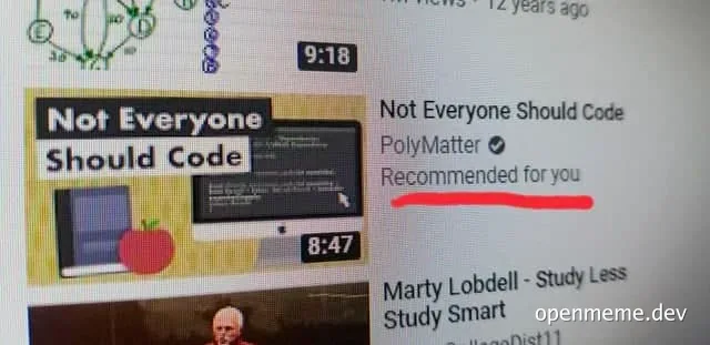 Not Everyone Should Code meme