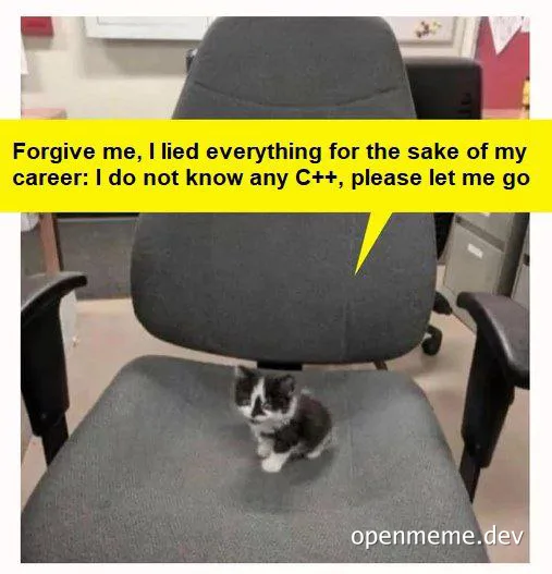 kitten sitting on office chair with speech bubble about not knowing C++