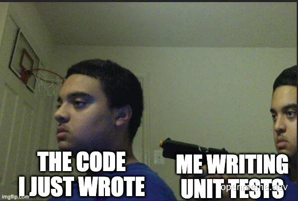 a man looking at another man with a skeptical expression, with text 'THE CODE I JUST WROTE' and 'ME WRITING UNIT TESTS'