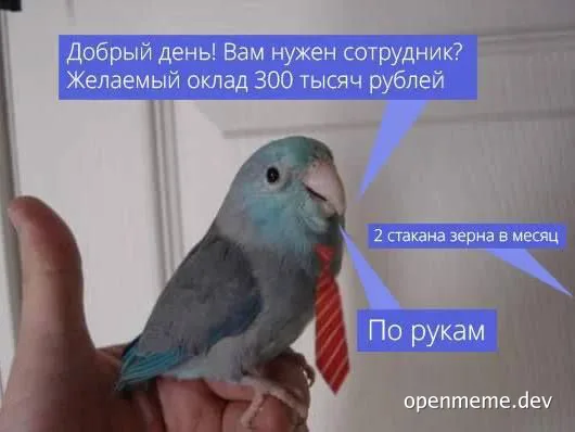A blue parrot wearing a tie, with text about job expectations