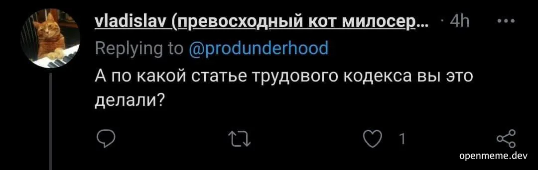 cat on keyboard with russian text