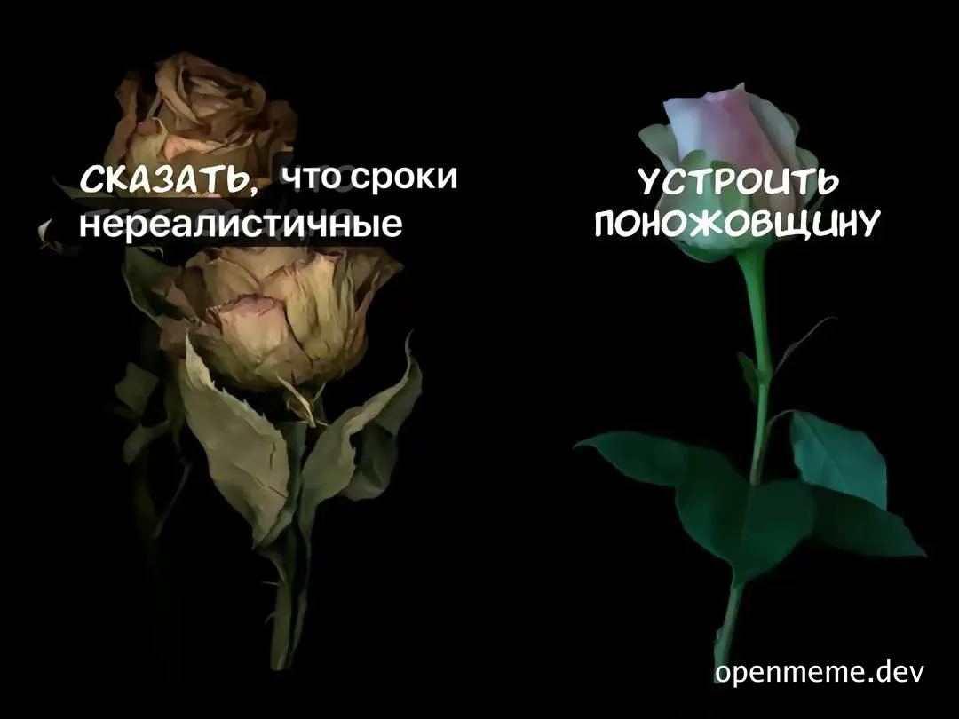 Two roses on a black background with a contrast between a wilted and a fresh rose, symbolizing the consequences of unrealistic deadlines.